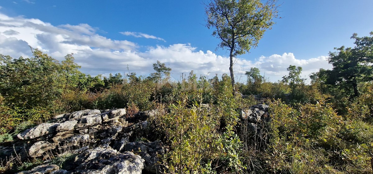 Pozemok Na predaj - ISTARSKA LABIN