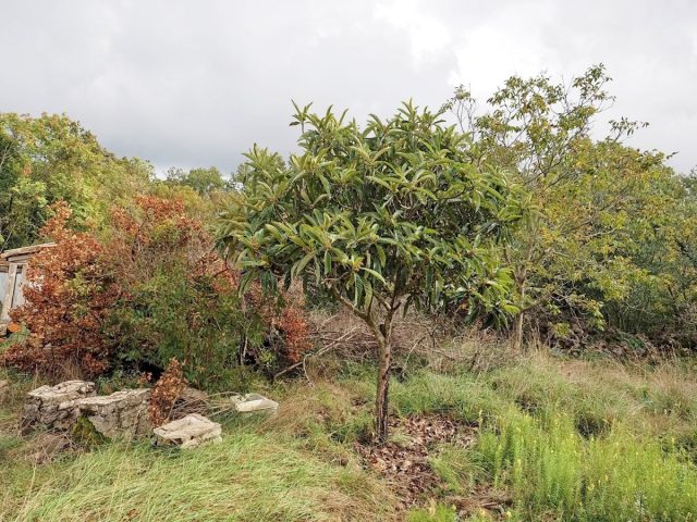 Land For sale - Primorsko-goranska Krk - foto 2/2