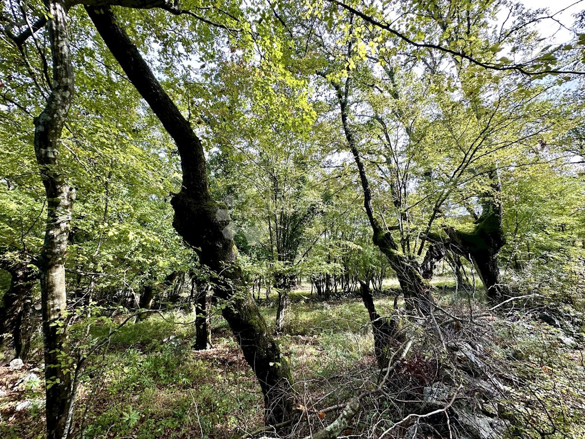 Zemljište Na prodaju - PRIMORSKO-GORANSKA KRK