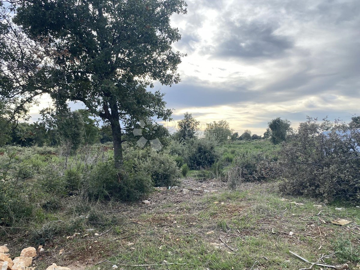 Parcela Na predaj - Istarska Vodnjan - foto 2/2