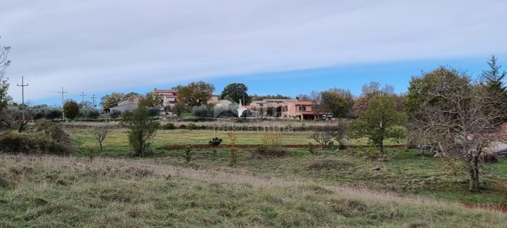 Pozemek Na prodej - Istarska Karojba - foto 3/3