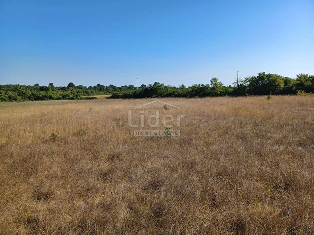 Terreno In vendita - ISTARSKA SVETVINČENAT