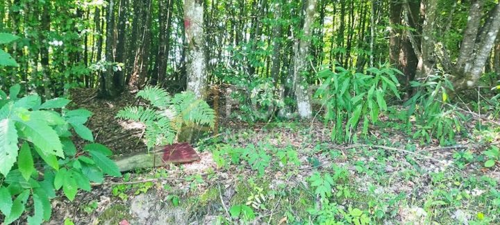Grundstück zu verkaufen 1398 m² – Skrad