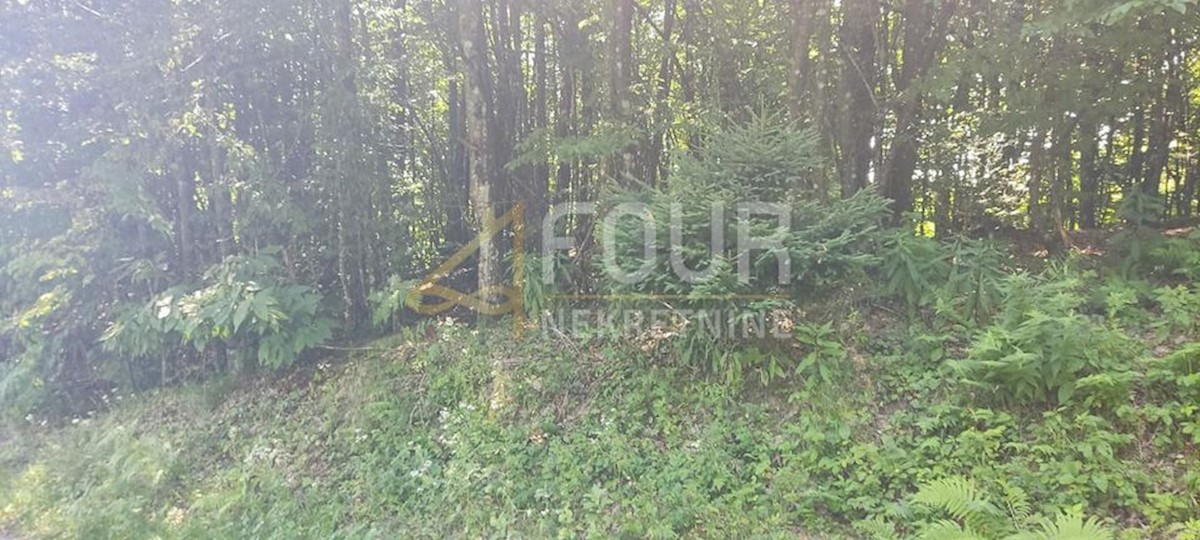 Land For sale - Primorsko-goranska Skrad - foto 2/2