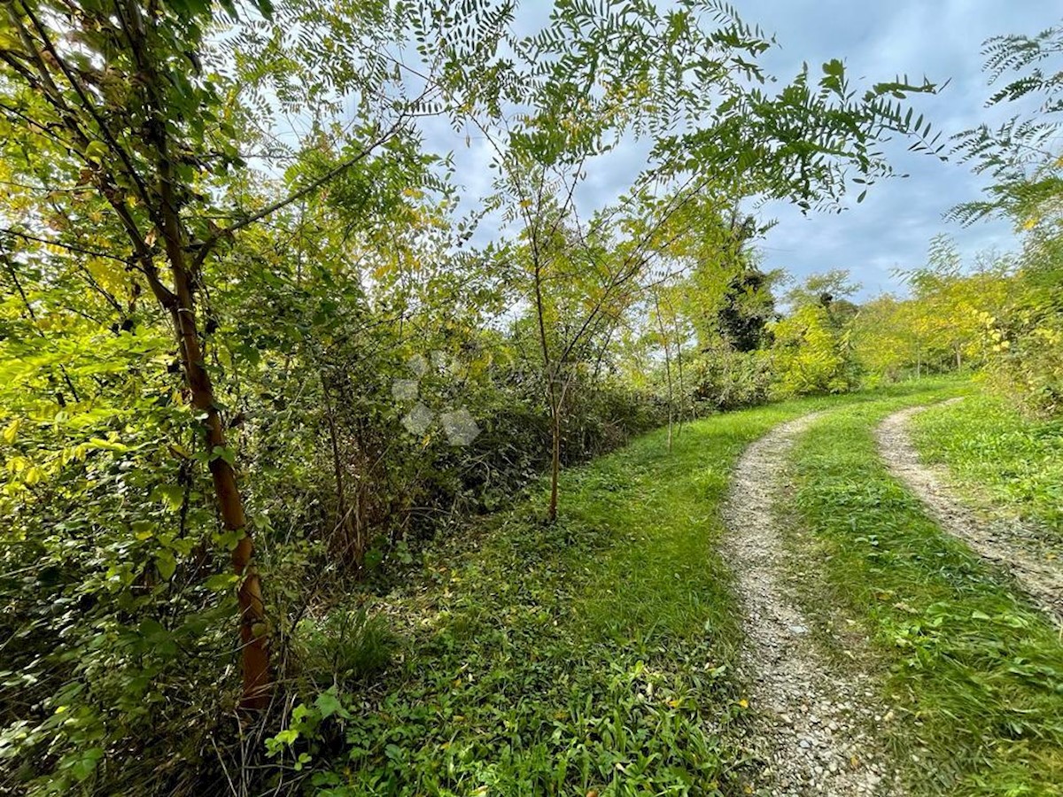 Parcela Na predaj - KRAPINSKO-ZAGORSKA KLANJEC