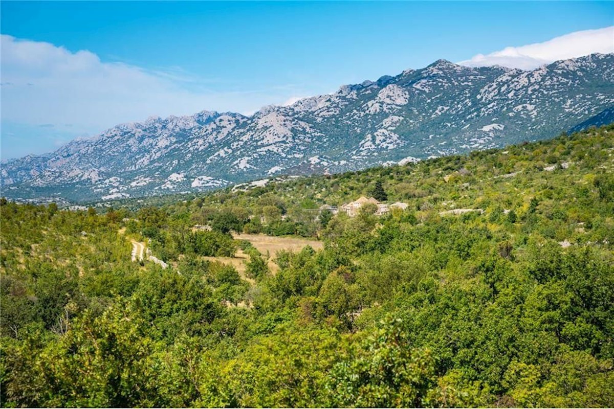 Terreno In vendita - ZADARSKA JASENICE