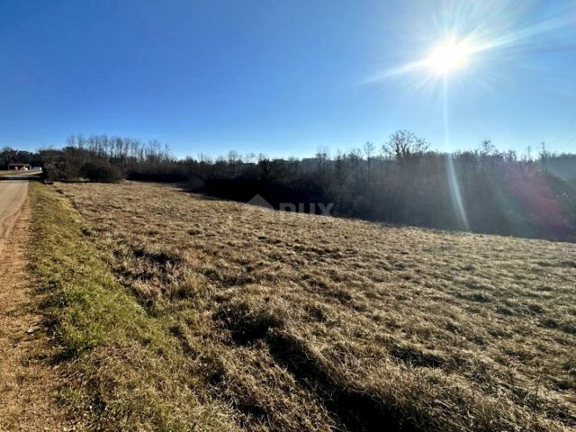 Pozemok na predaj 3697 m² – Motovun