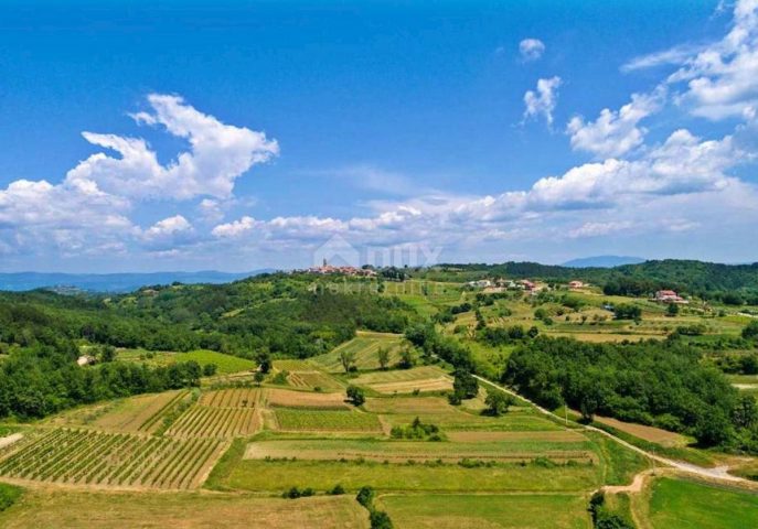 Grundstück Zu verkaufen - Istarska Motovun - foto 3/3