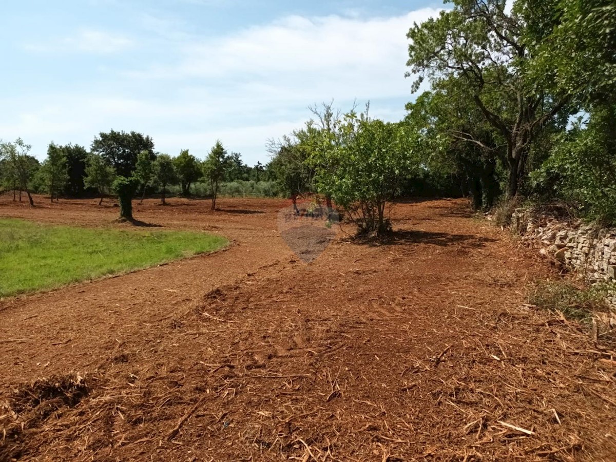 Terreno In vendita - ISTARSKA SVETVINČENAT