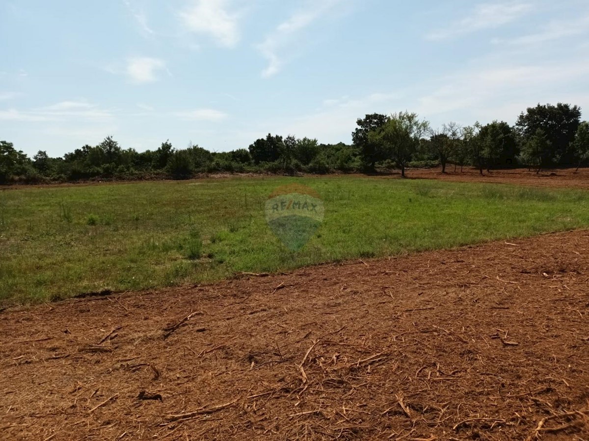 Terreno In vendita - ISTARSKA SVETVINČENAT