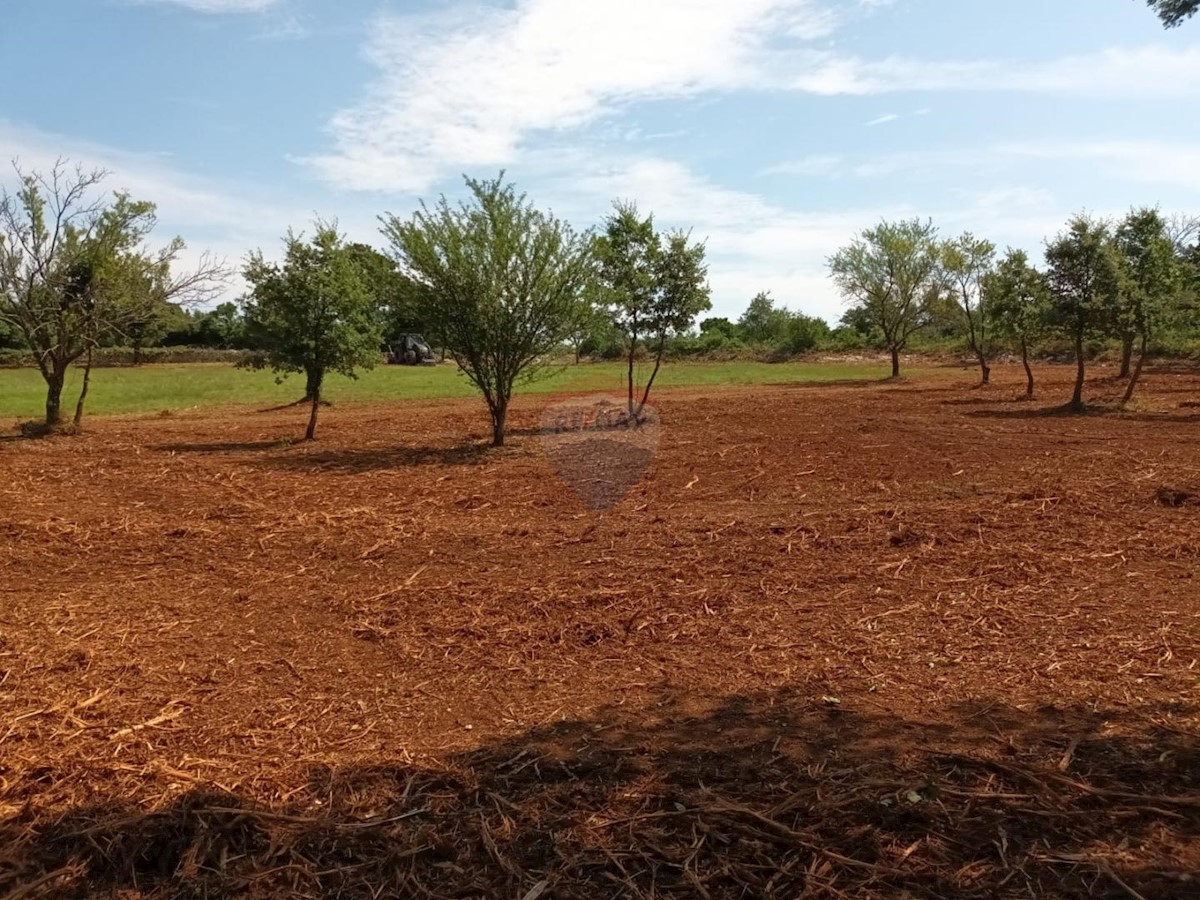 Terreno In vendita - ISTARSKA SVETVINČENAT