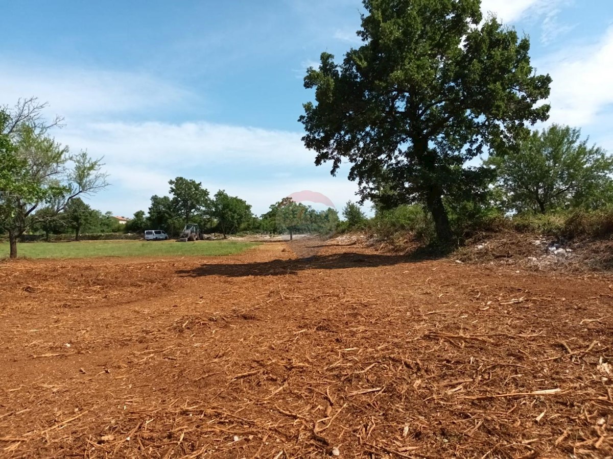 Terreno In vendita - ISTARSKA SVETVINČENAT