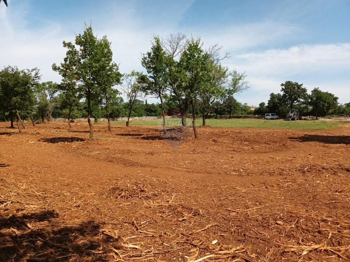 Terreno In vendita - ISTARSKA SVETVINČENAT