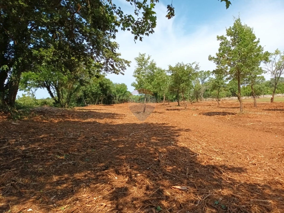 Terreno In vendita - ISTARSKA SVETVINČENAT