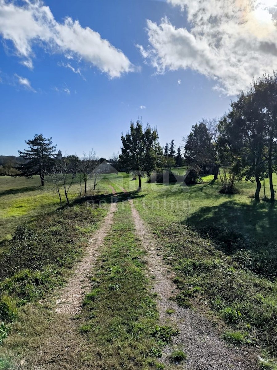 Land For sale - ISTARSKA TINJAN