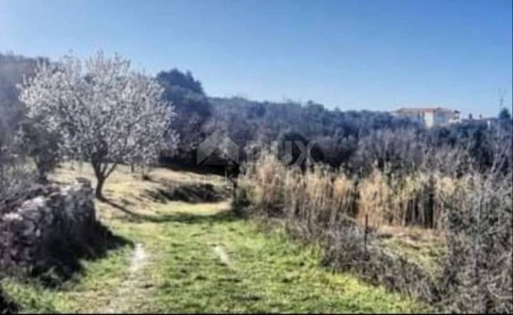 Land For sale - Istarska Pula - foto 4/4