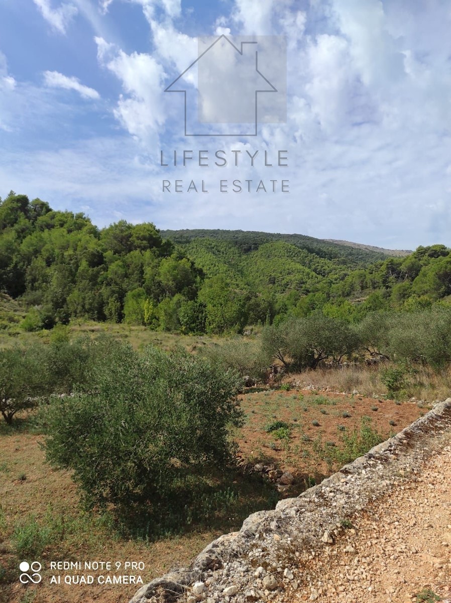 Land For sale - SPLITSKO-DALMATINSKA HVAR