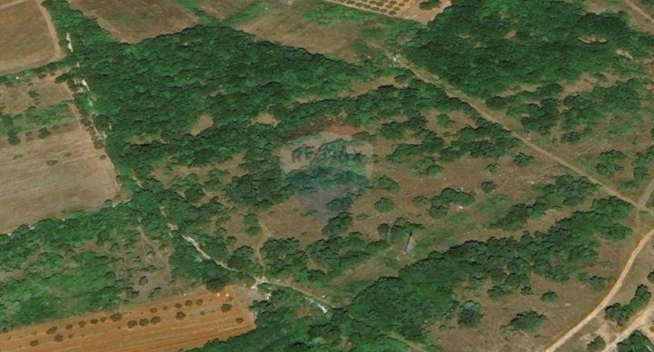 Zemljište na prodaju 13465 m² – Tar