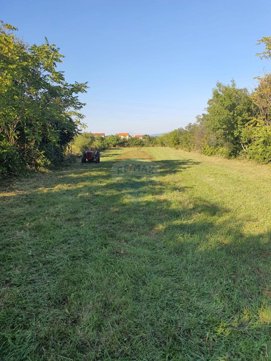 Parcela Naprodaj - ISTARSKA Marčana