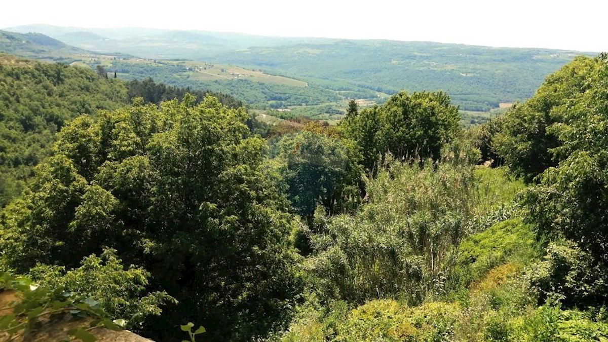 Zemljište Na prodaju - ISTARSKA GROŽNJAN