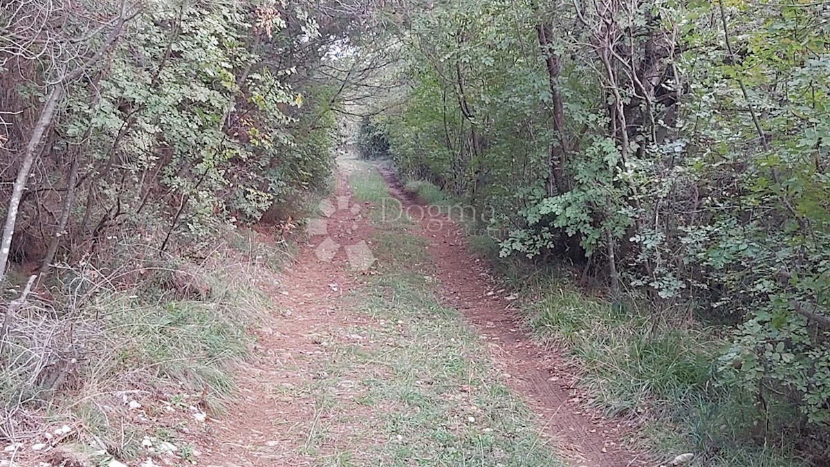 Zemljište Na prodaju - ISTARSKA LABIN