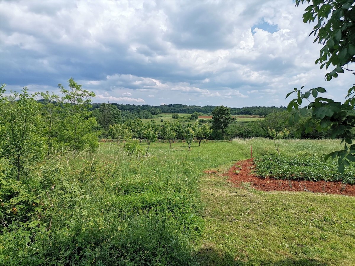 Land For sale - ISTARSKA VIŽINADA