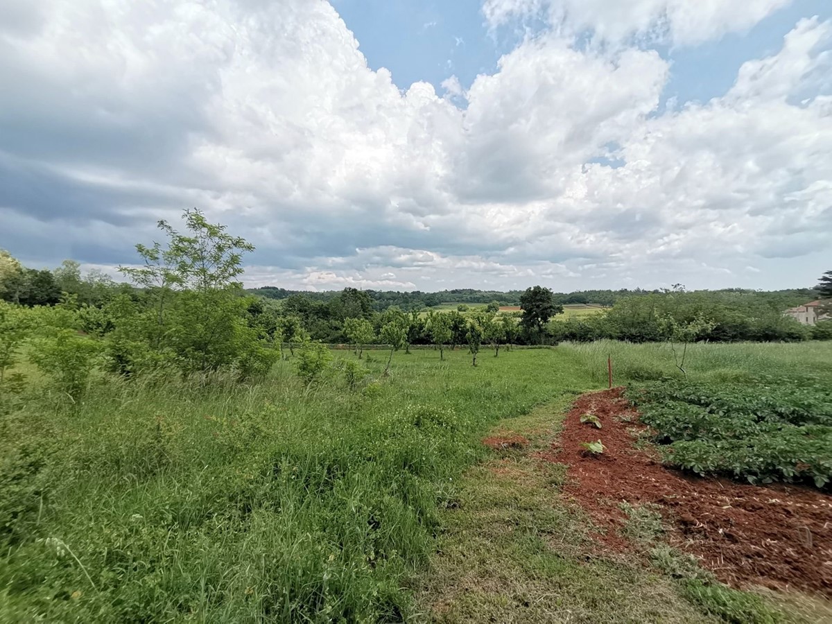 Land For sale - ISTARSKA VIŽINADA