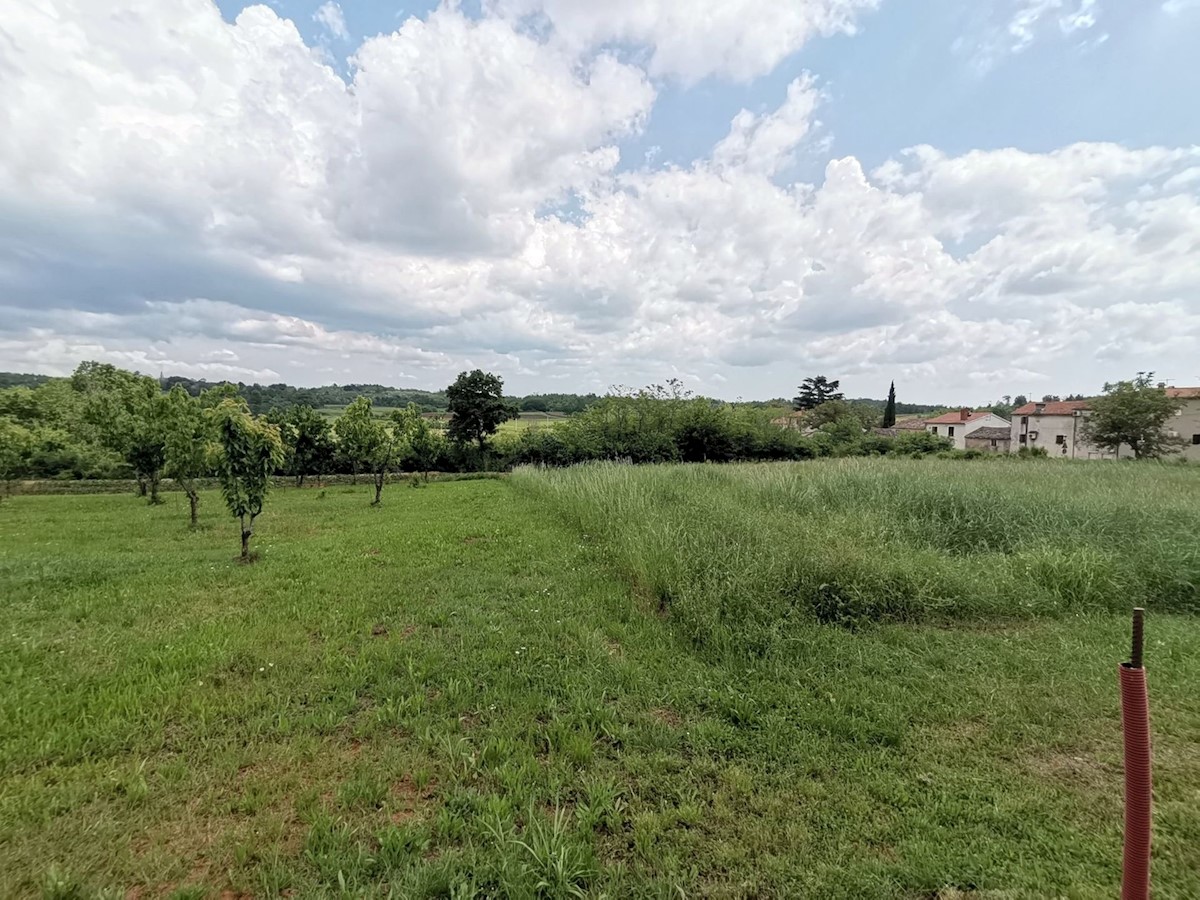 Land For sale - ISTARSKA VIŽINADA