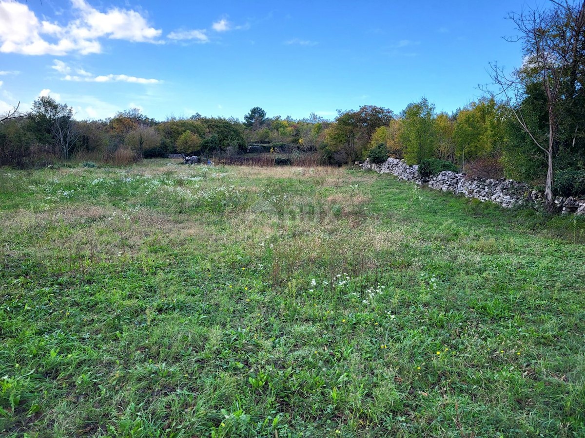 Land For sale - ISTARSKA ŽMINJ