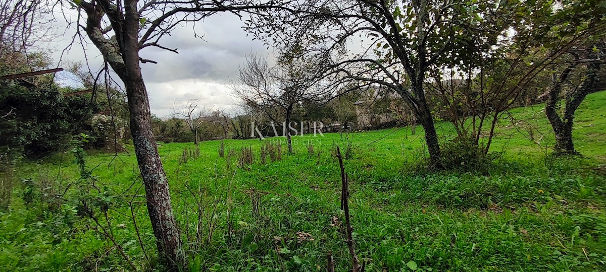 Land For sale - PRIMORSKO-GORANSKA JELENJE