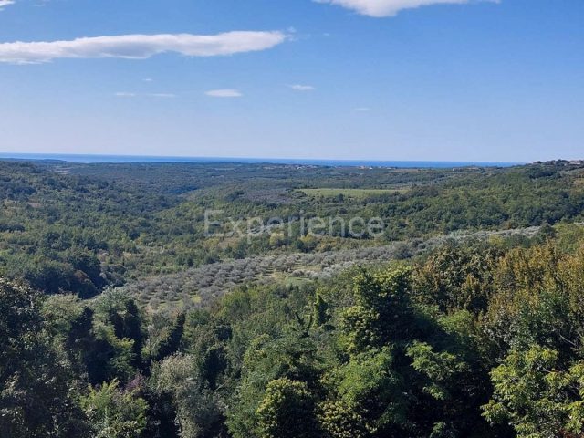 Działka na sprzedaż 16141 m² – Buje