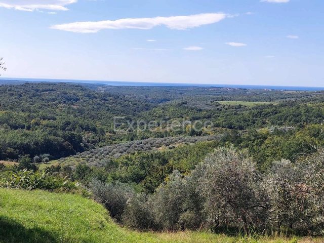 Terreno In vendita - Istarska Buje - foto 2/15