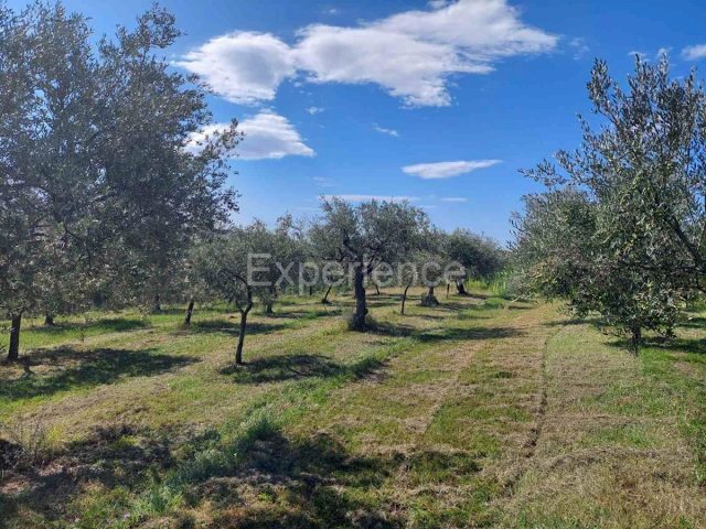 Terreno In vendita - Istarska Buje - foto 3/15