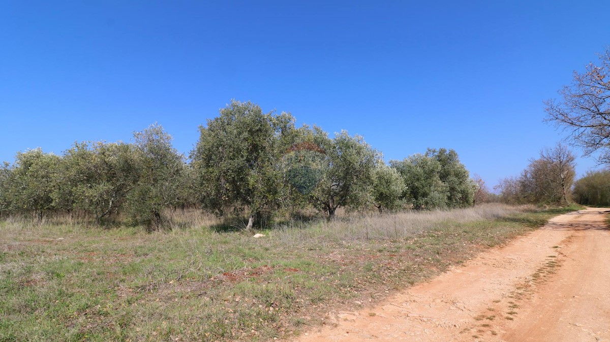 Land For sale - ISTARSKA KAŠTELIR