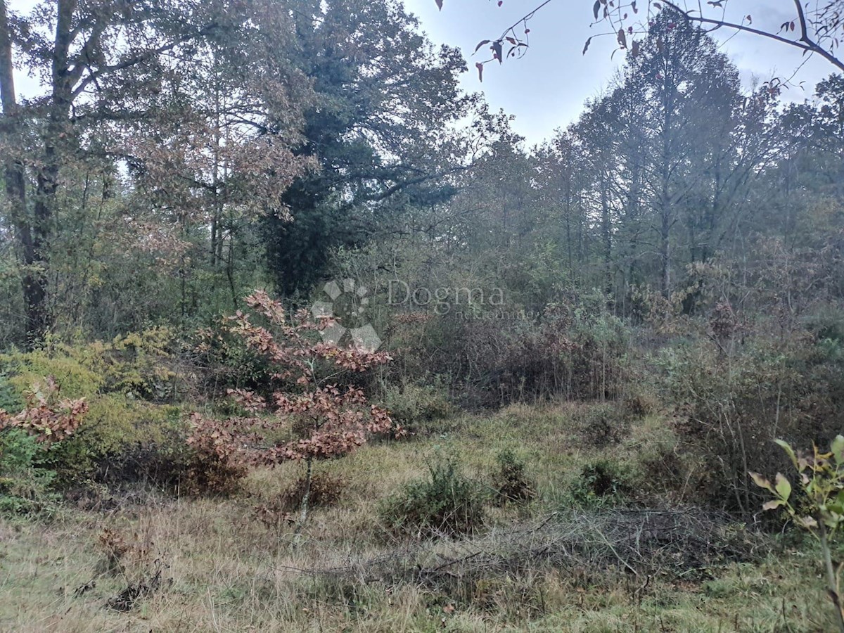 Terreno In vendita - PRIMORSKO-GORANSKA MATULJI