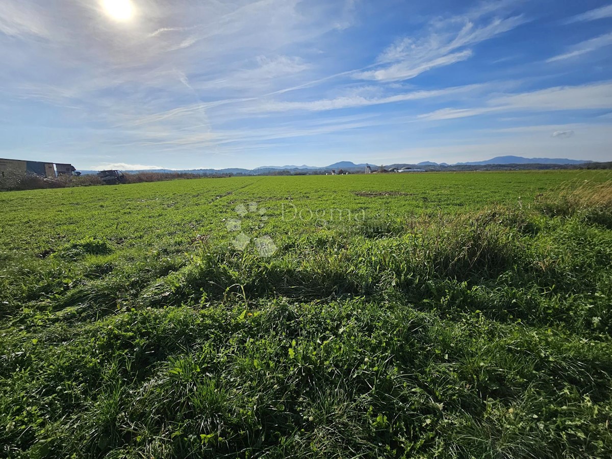 Land For sale ČRNEC BIŠKUPEČKI