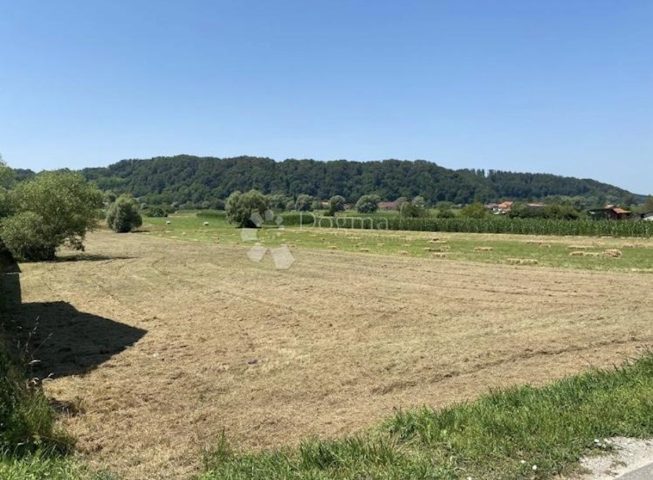 Terrain à louer 5555 m² – Selnica