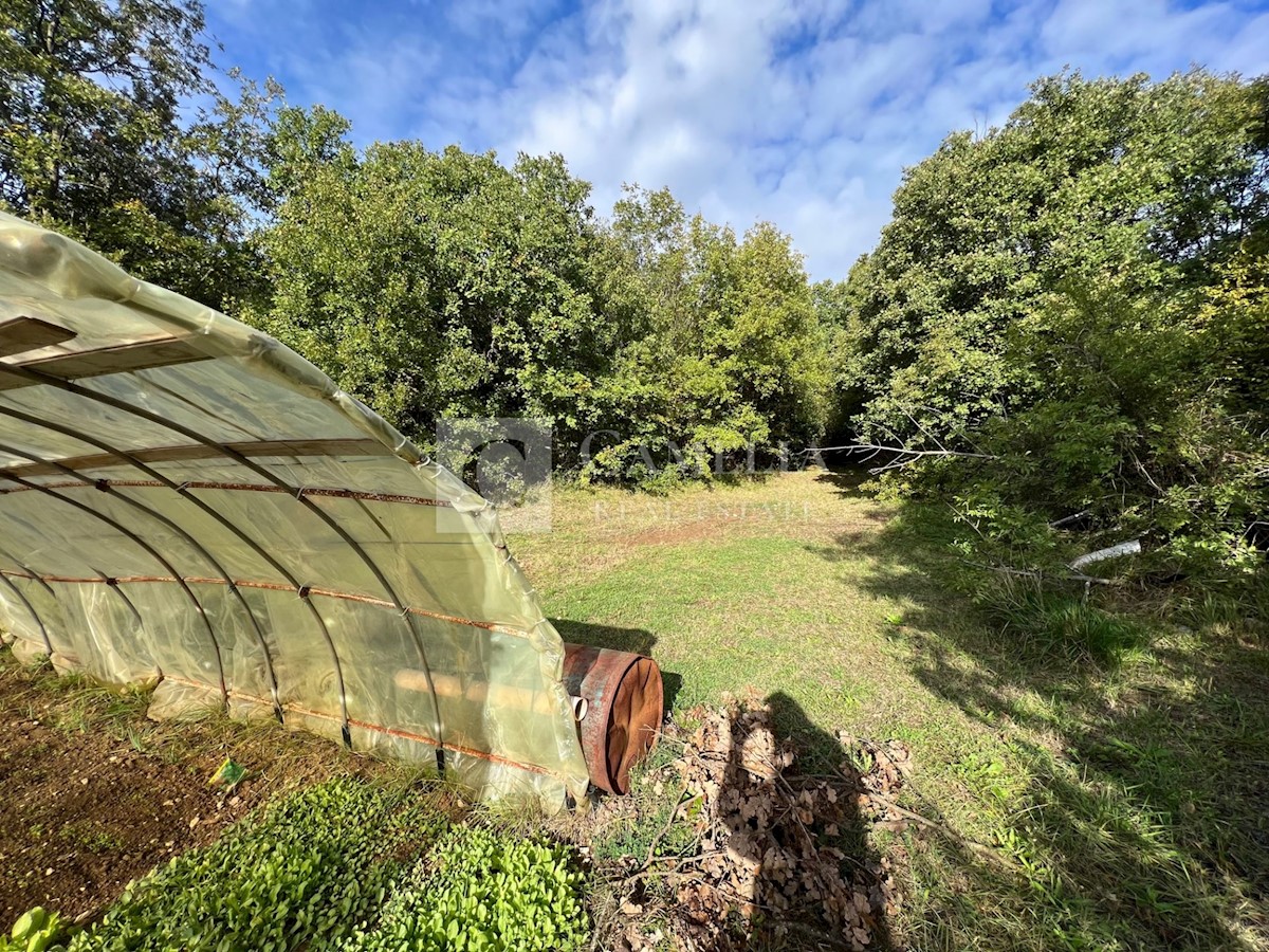 Kuća Na prodaju - ISTARSKA LABIN