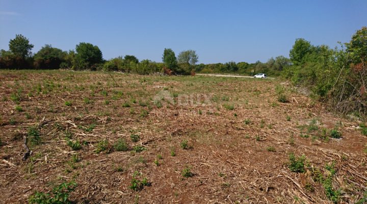 Parcela Naprodaj - Istarska Kanfanar - foto 3/4