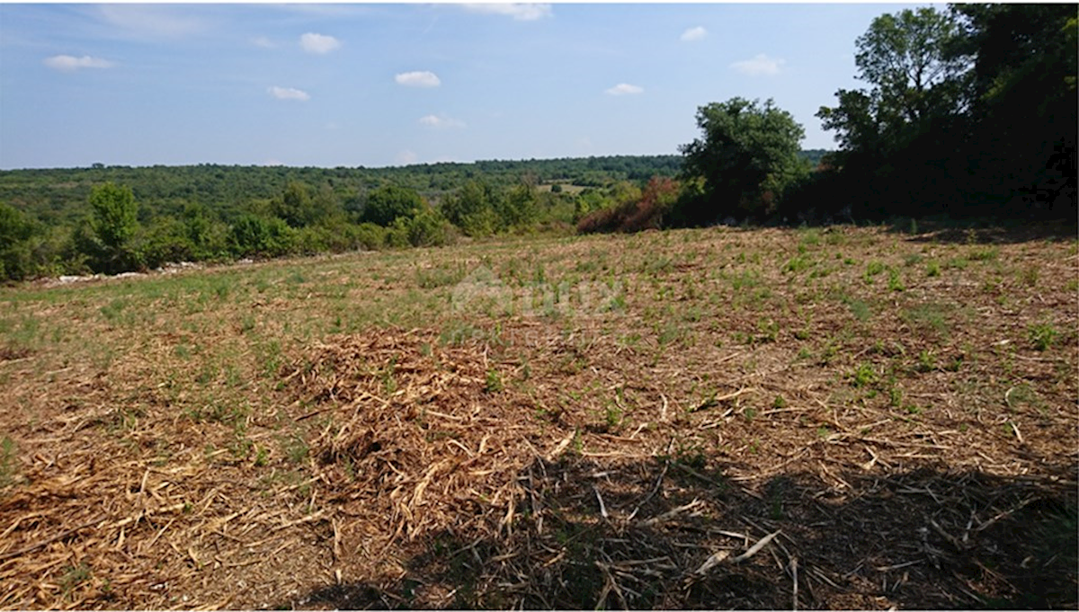 Terreno In vendita - ISTARSKA KANFANAR