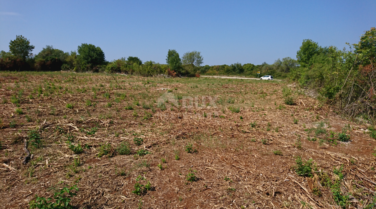 Terreno In vendita - ISTARSKA KANFANAR