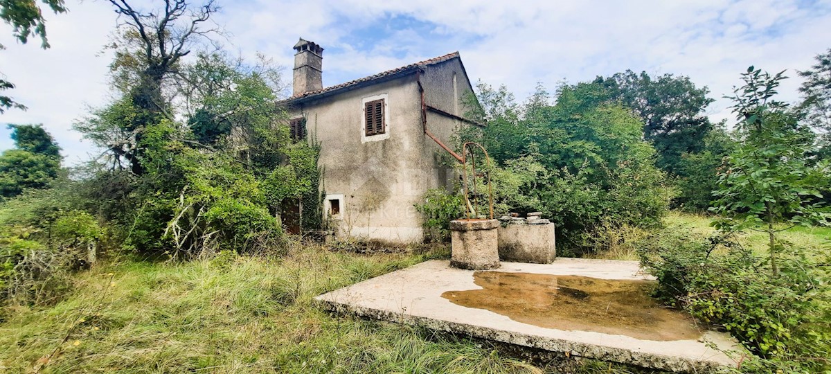 Haus Zu verkaufen - ISTARSKA ŽMINJ