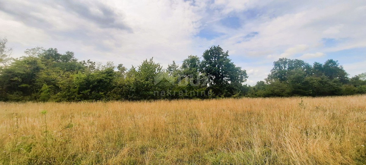 Haus Zu verkaufen - ISTARSKA ŽMINJ