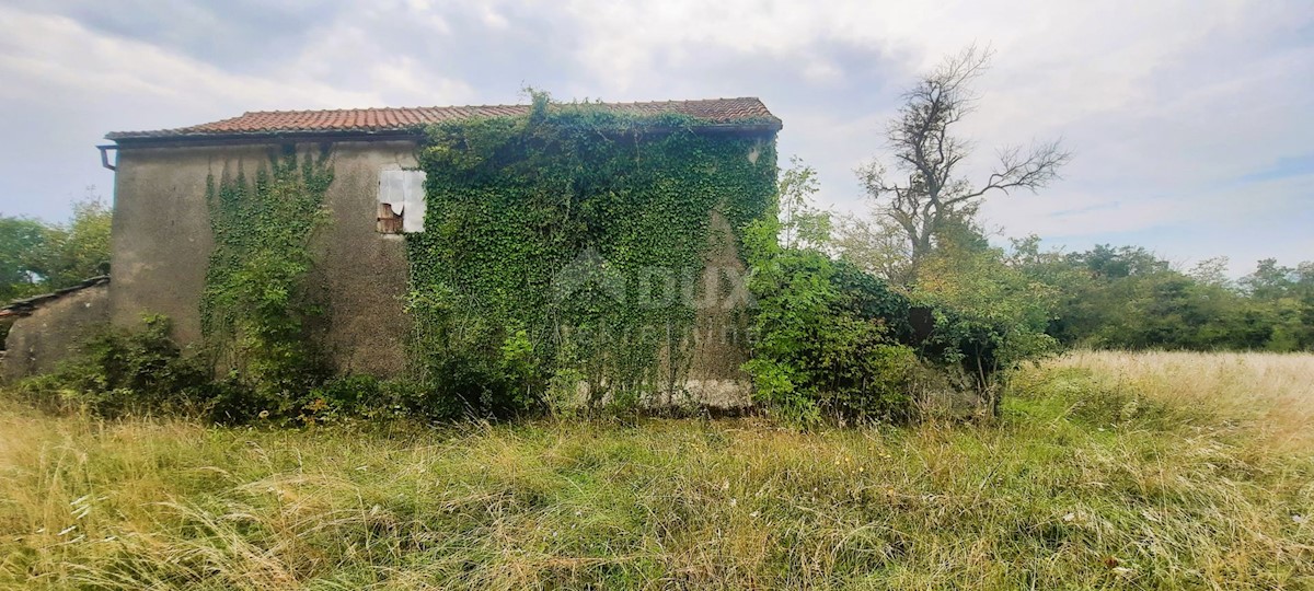 Haus Zu verkaufen - ISTARSKA ŽMINJ