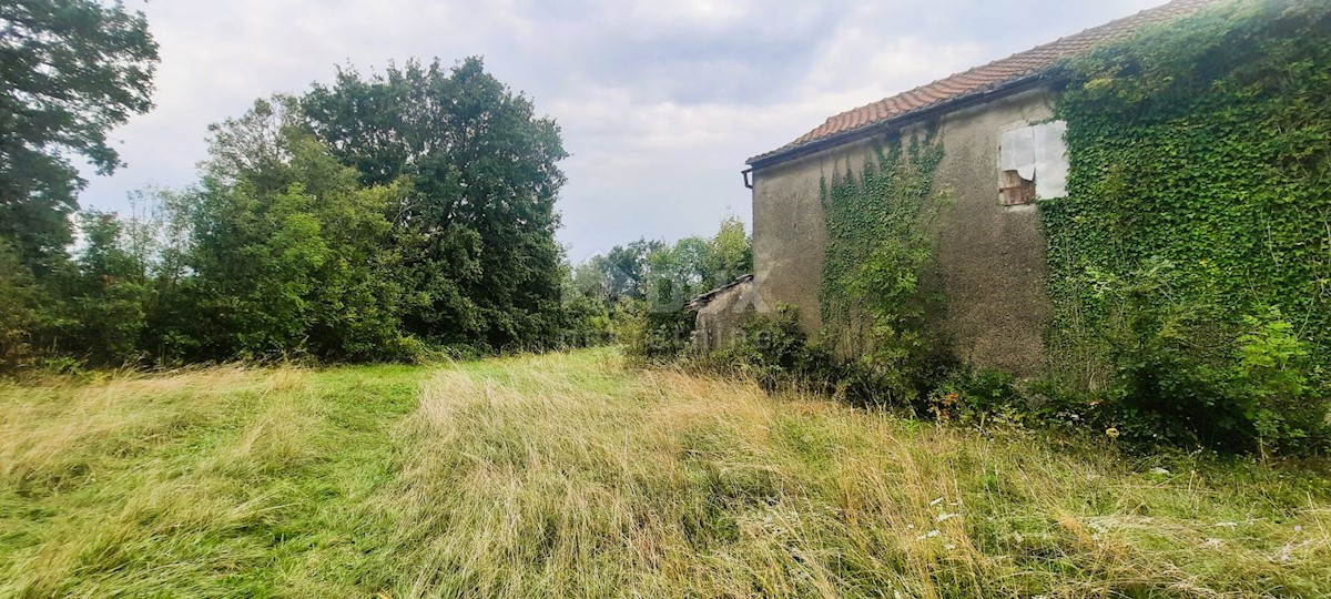 Haus Zu verkaufen - ISTARSKA ŽMINJ