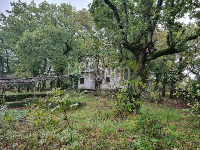 House For sale - Primorsko-goranska Krk - foto 2/33