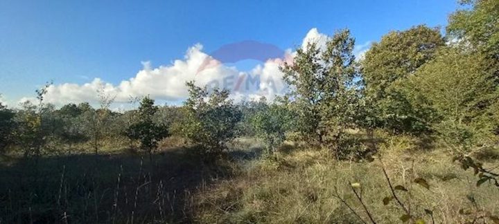 Terrain à vendre 6010 m² – Kanfanar