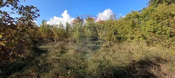 Terreno In vendita - Istarska Kanfanar - foto 2/8