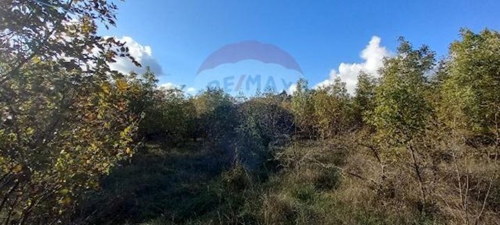 Terreno In vendita - Istarska Kanfanar - foto 3/8