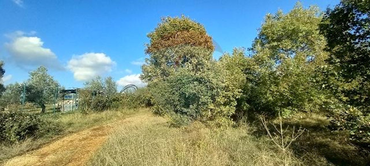 Pozemok Na predaj - ISTARSKA KANFANAR